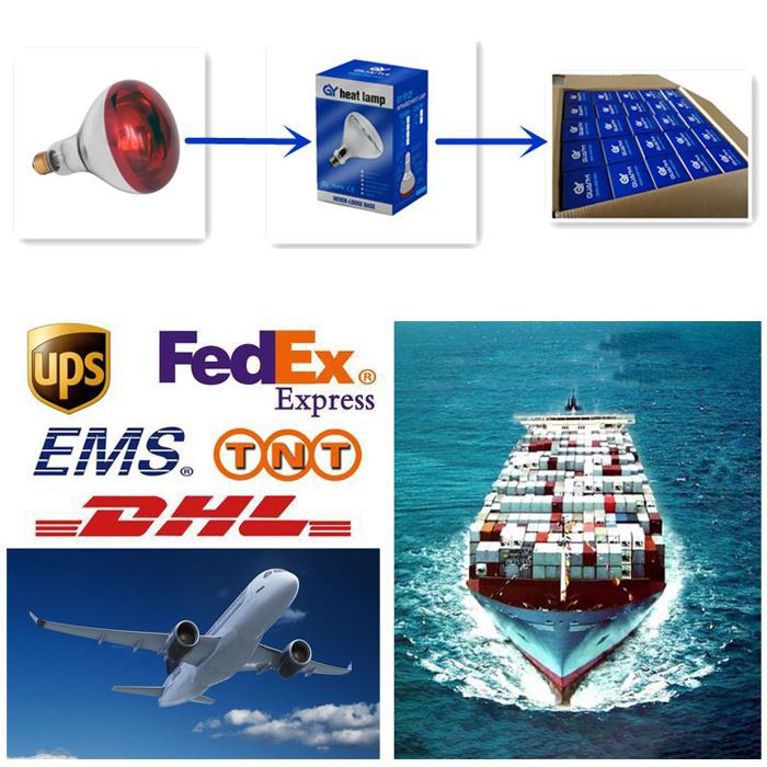 Transport of 250 watt heat lamp