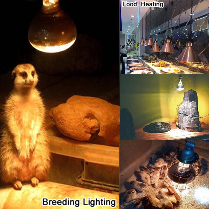 Applicable places for 300 watt heat lamp