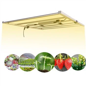 720W Marijuana LED Tumbuh Lampu